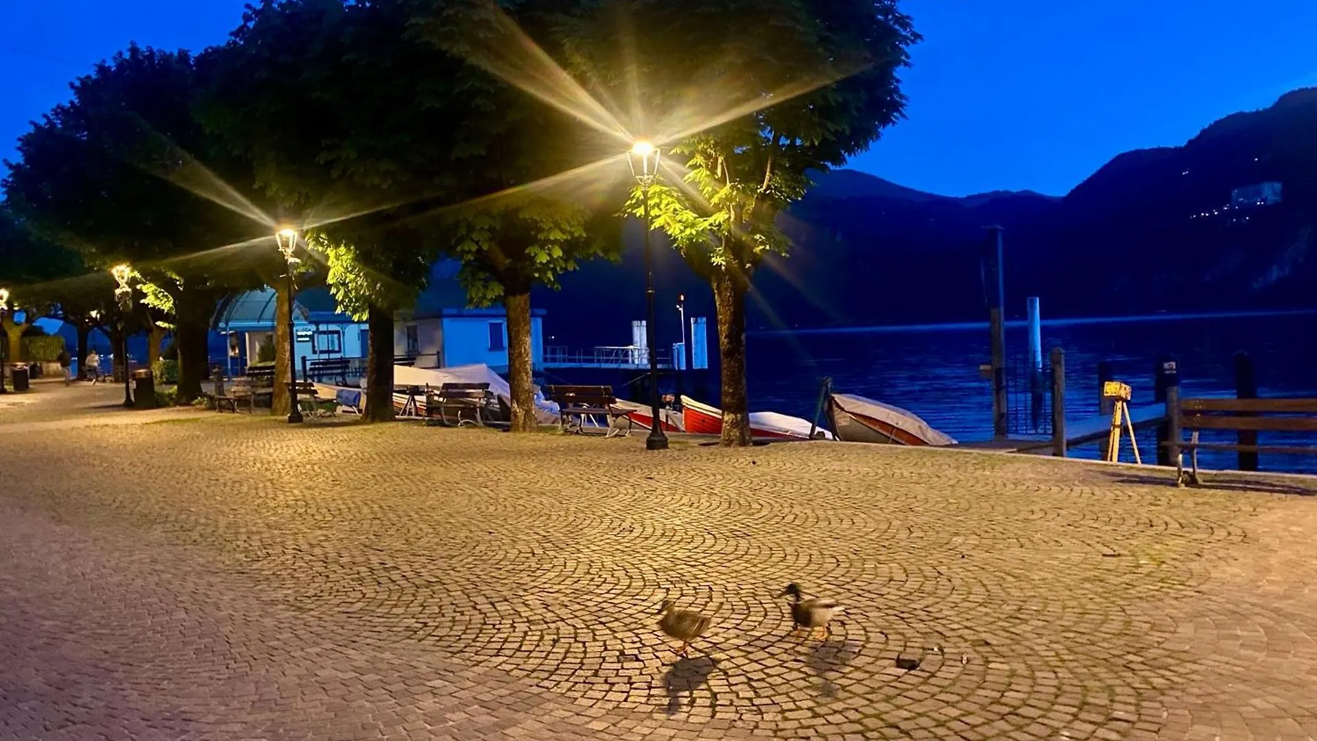 Holiday Home Black Eagle Mandello del Lario